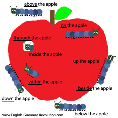 Aplle on Describes The Relationship Between This Caterpillar And This Apple