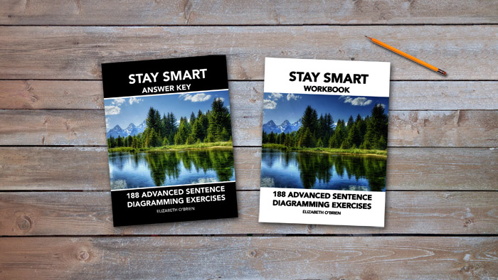 Stay Smart Workbook Cover
