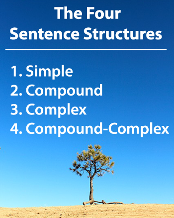 sentance structures