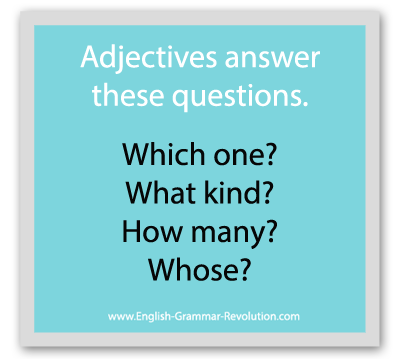 The Adjective Questions Which one? What kind? How many? Whose?