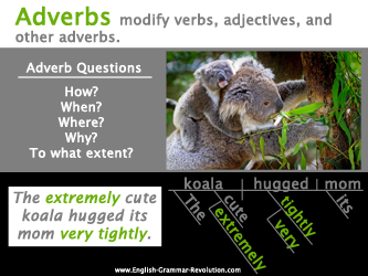 What is an adverb? What is a sentence adverb? www.GrammarRevolution.com
