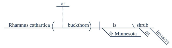 appositive_or_sentence_diagram