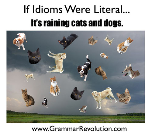 Funny English Idioms And Their Meanings