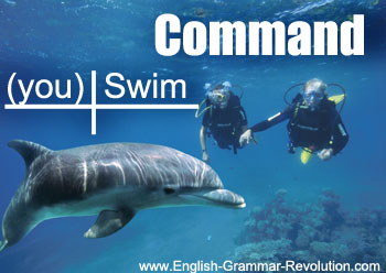 sentence imperative command commands grammar sentences subject diagram words verb diagrams left