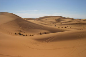 The desert is the hottest.