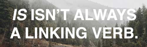 IS isn't always a linking verb. It's true! www.GrammarRevolution.com/linking-verb.html IS isn't always a linking verb. It's true! www.GrammarRevolution.com/linking-verb.html