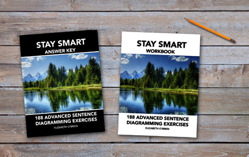 Stay Smart grammar program