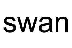 The word SWAN is a noun. www.GrammarRevolution.com/what-is-a-noun.html